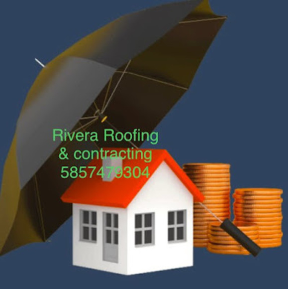 Meet your Posher, Nelson - Picture 1 of 1